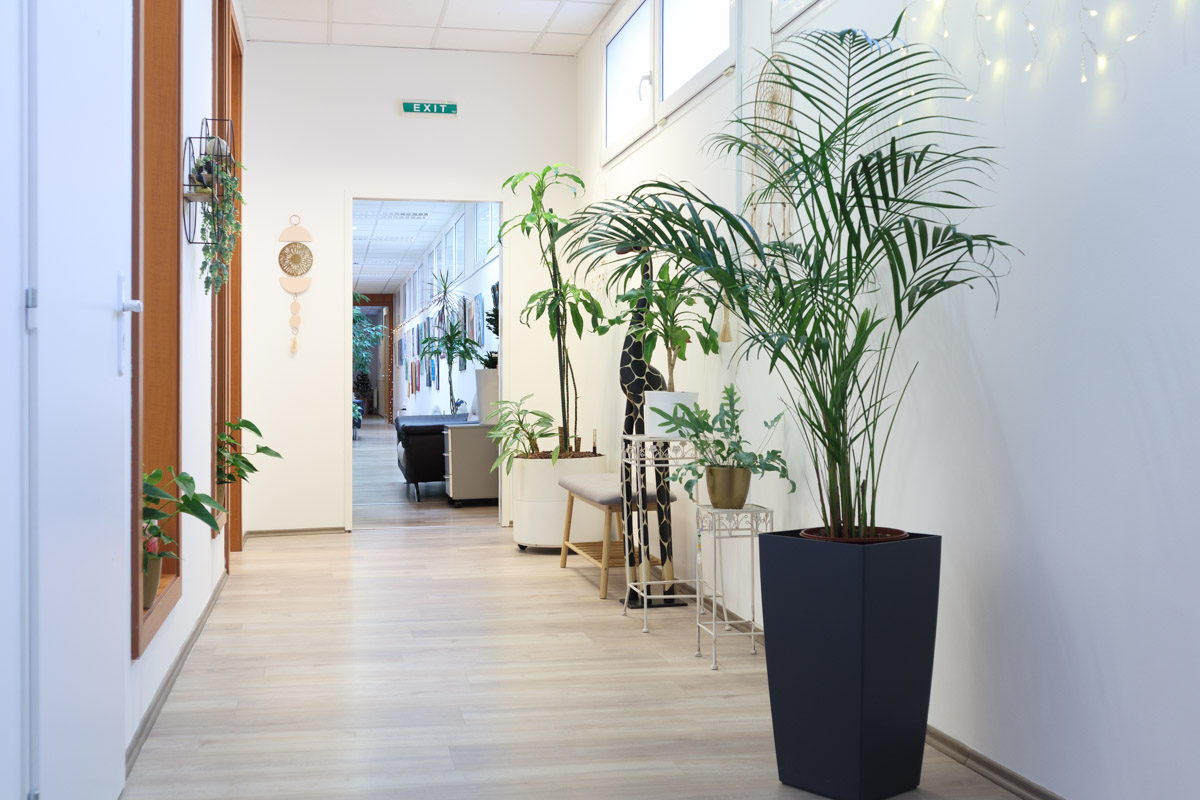 Chodba s posedením, príjemné zelené prostredie